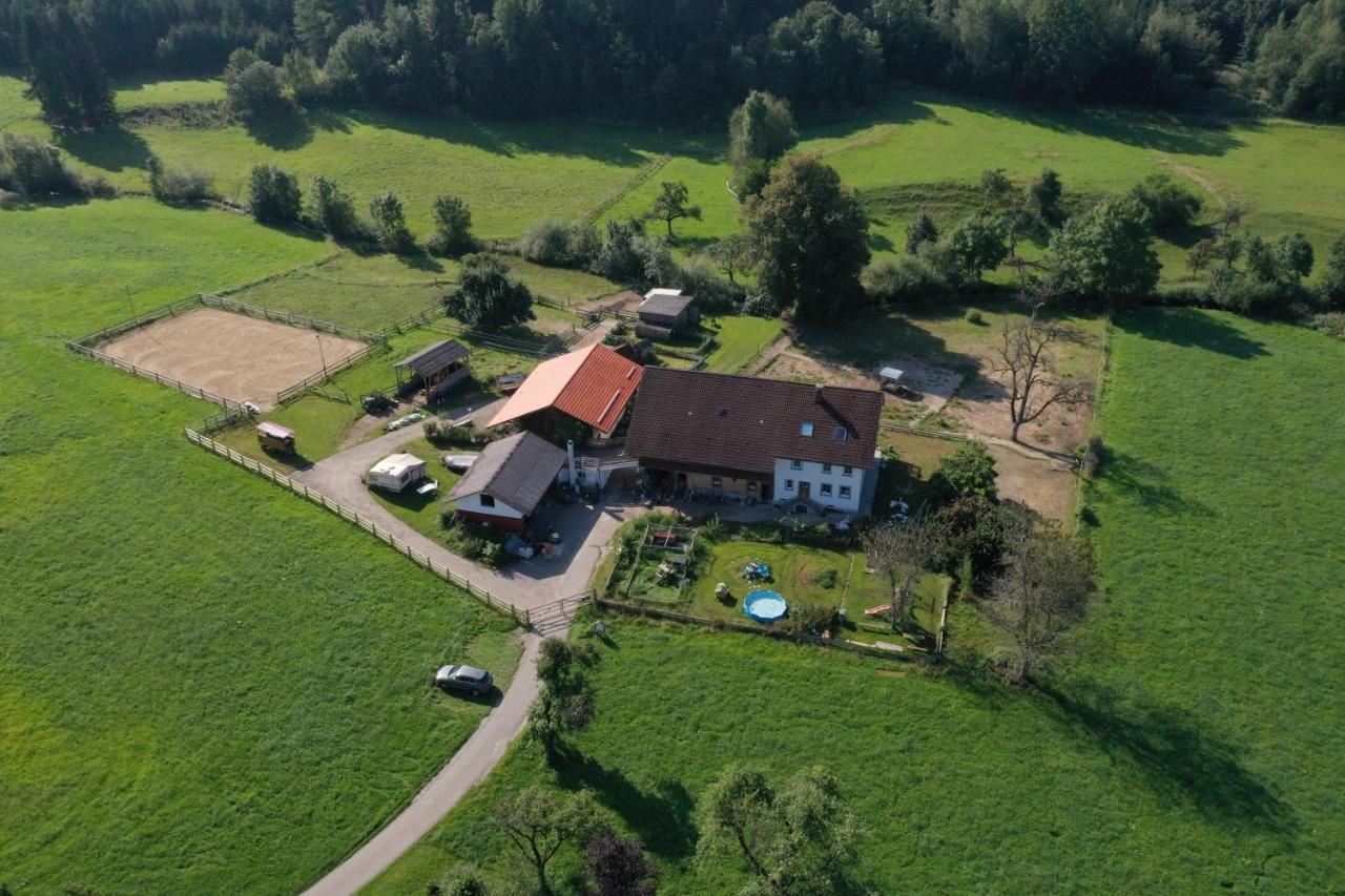 Carlo Apartment Wangen im Allgaeu ภายนอก รูปภาพ
