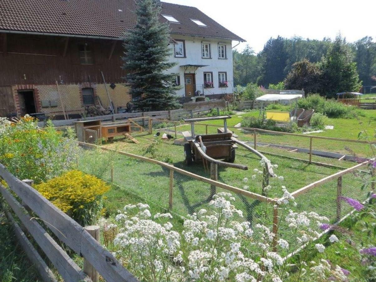 Carlo Apartment Wangen im Allgaeu ภายนอก รูปภาพ
