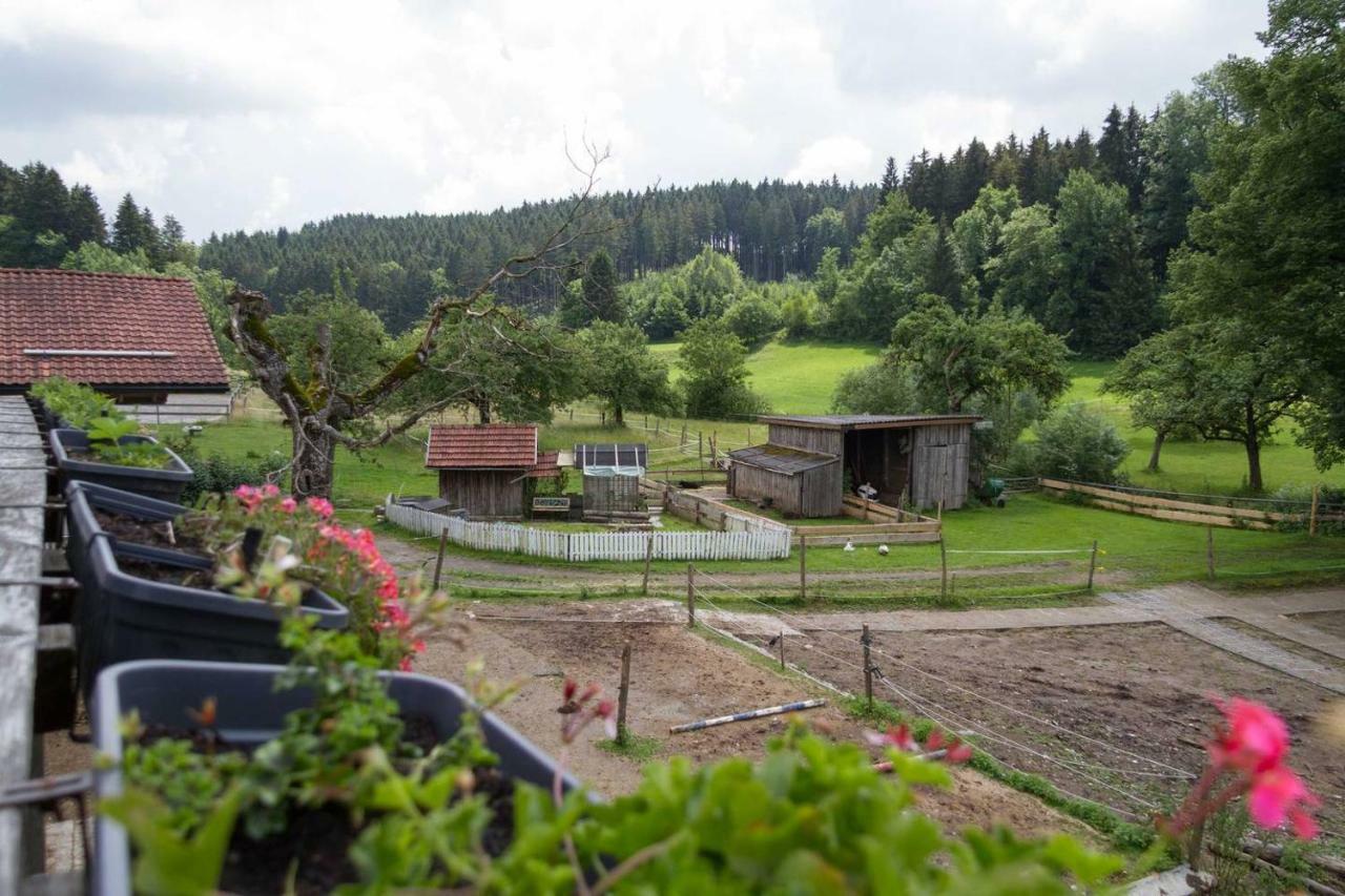 Carlo Apartment Wangen im Allgaeu ภายนอก รูปภาพ
