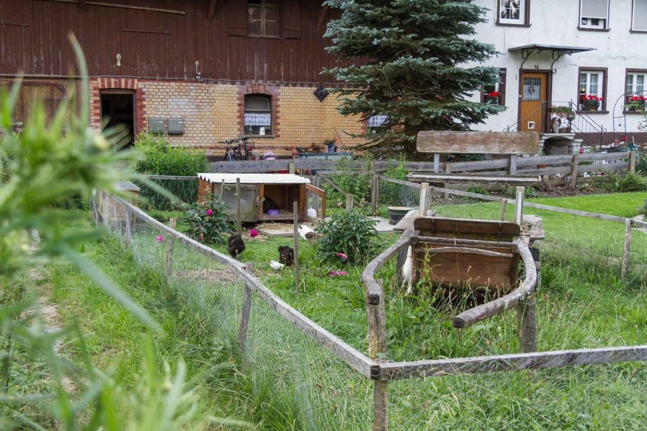 Carlo Apartment Wangen im Allgaeu ภายนอก รูปภาพ