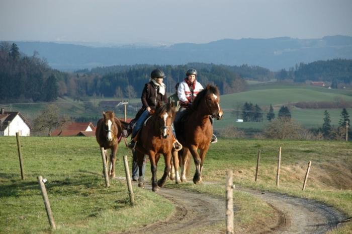 Carlo Apartment Wangen im Allgaeu ภายนอก รูปภาพ