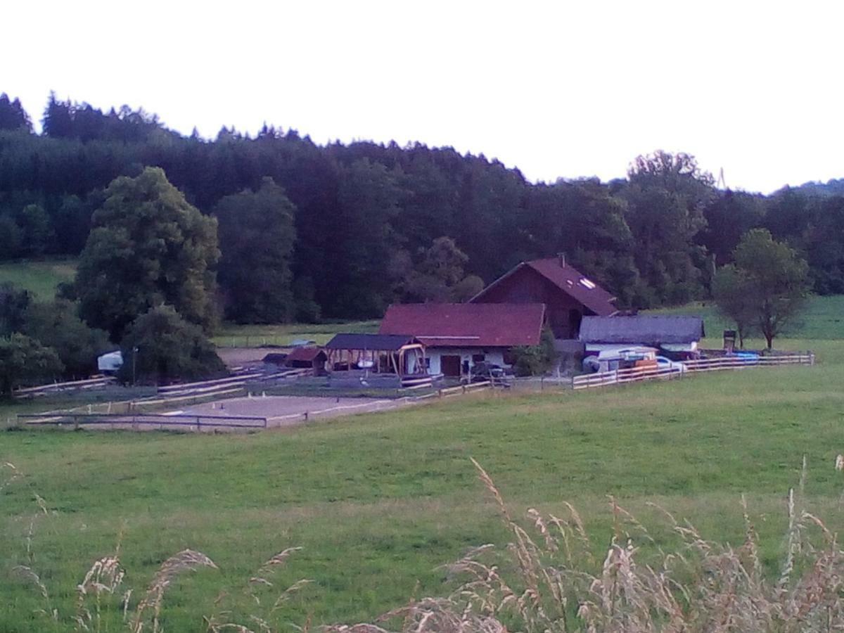 Carlo Apartment Wangen im Allgaeu ภายนอก รูปภาพ